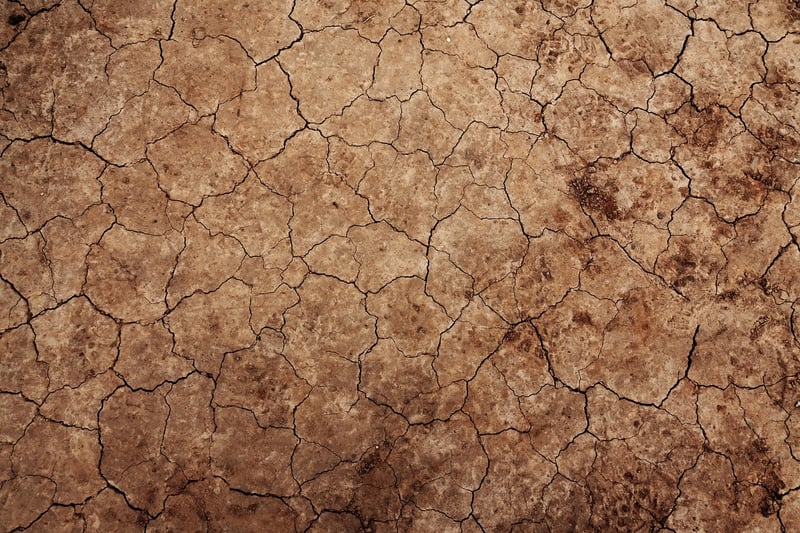 Enchanted Soil Enhancers
